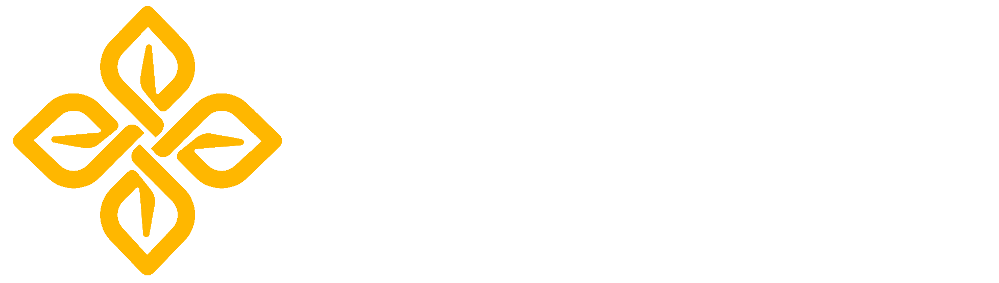 Nutrologia Dr. Fabio
